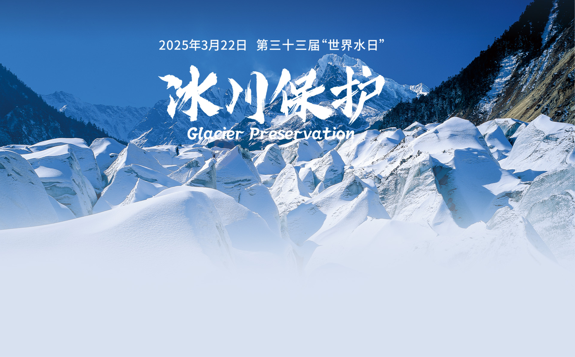 138开奖网